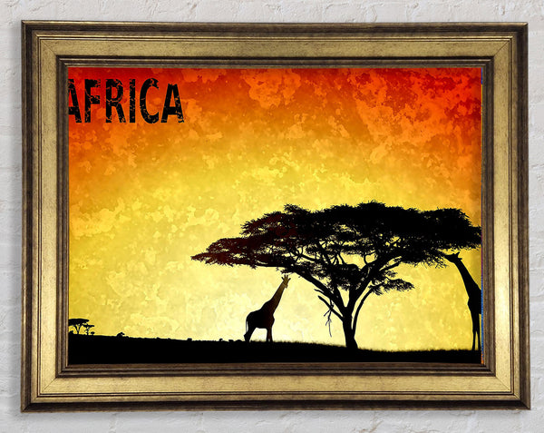 Africa