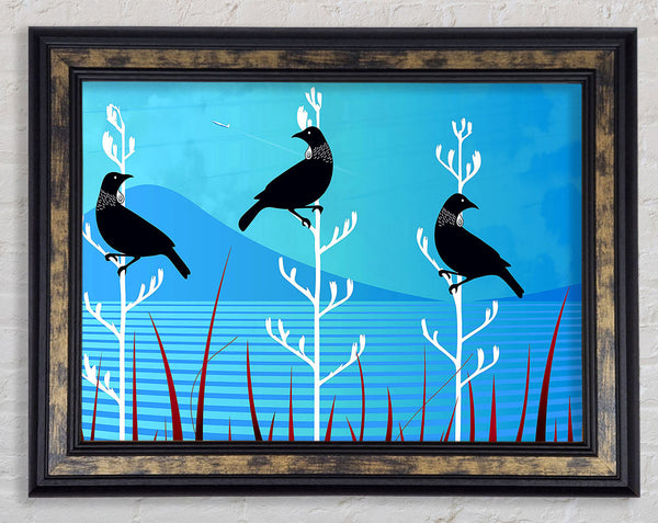 Tui Birds