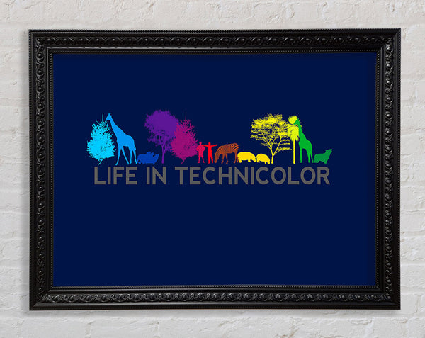 Life In Technicolor