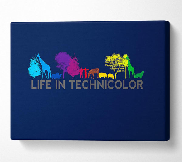 Life In Technicolor