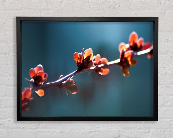 Spikey Flower Branch