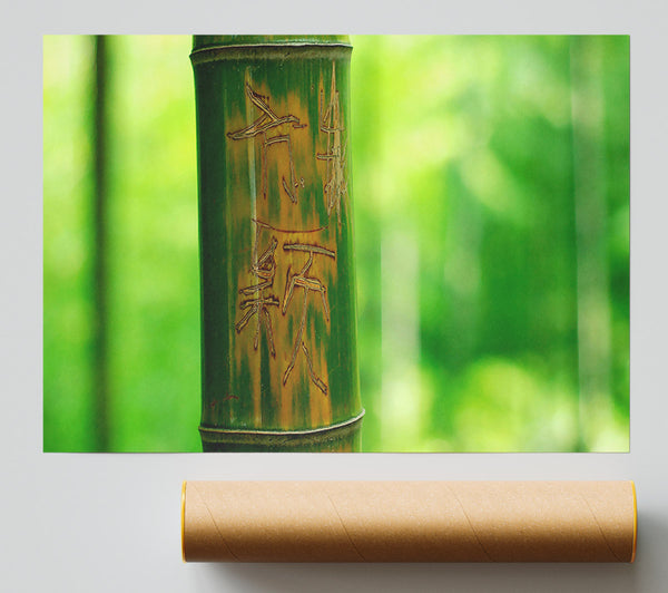 Engraved Bamboo