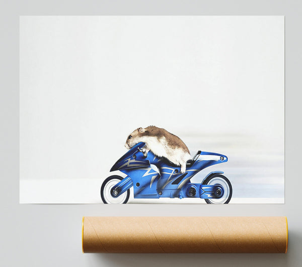 Mouse Riding Motorcycle