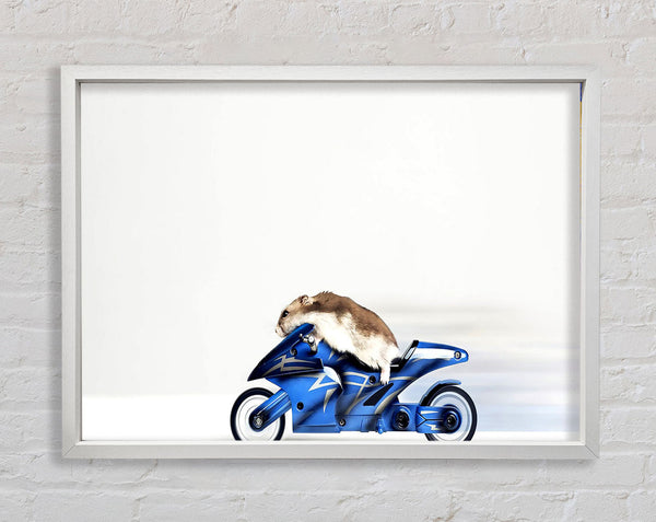 Mouse Riding Motorcycle