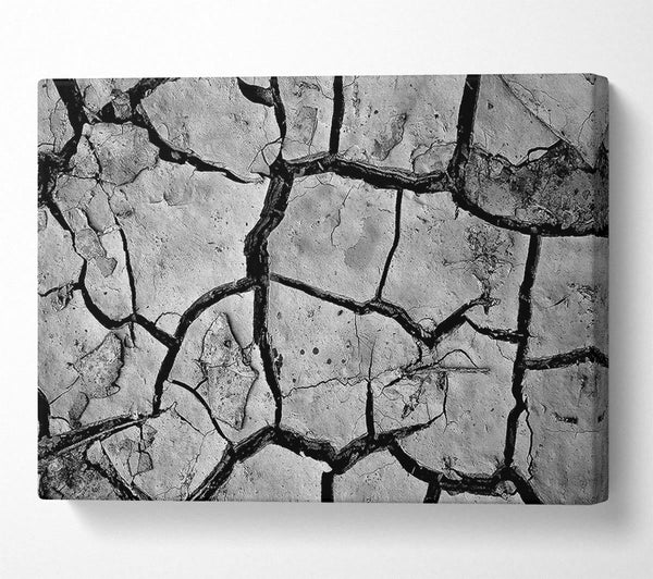 Cracked Mud