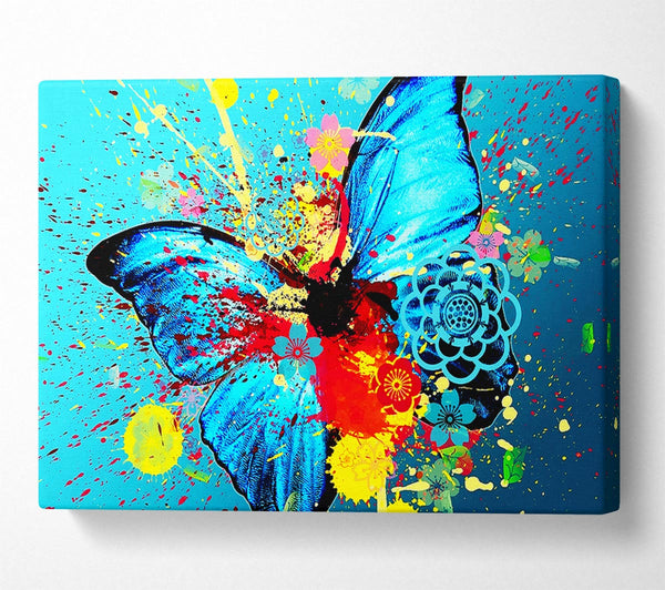 Butterfly Splash