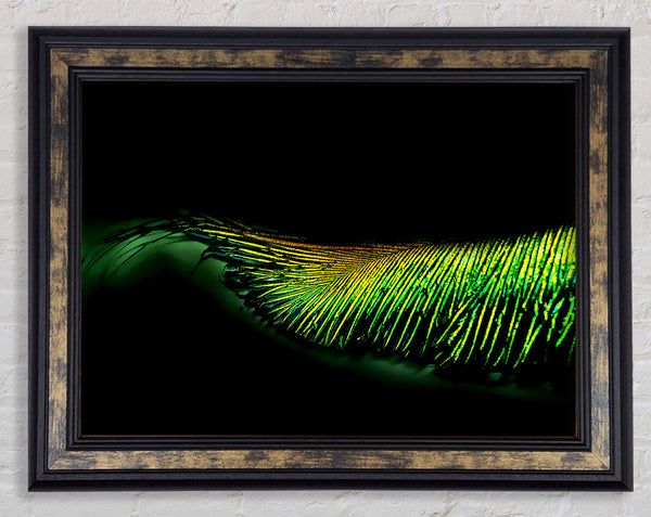 Vibrant Green Feather