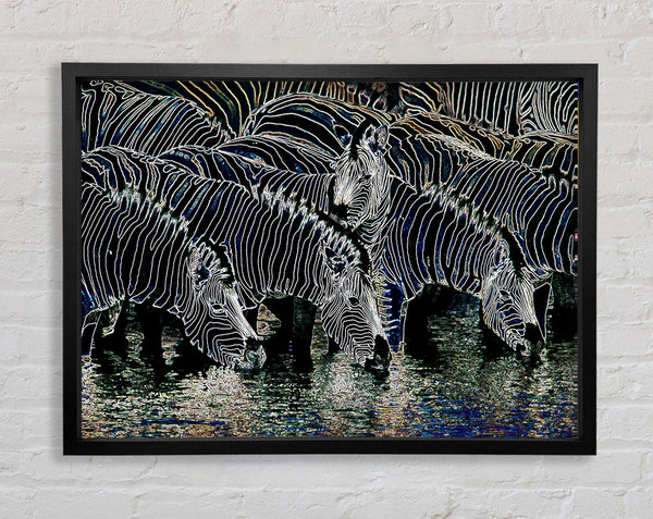 Zebra At The Watering Hole