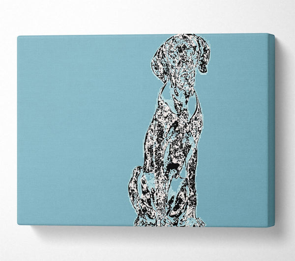 Dalmatian Blue