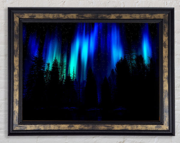 Blue Northern Lights Through The Forest