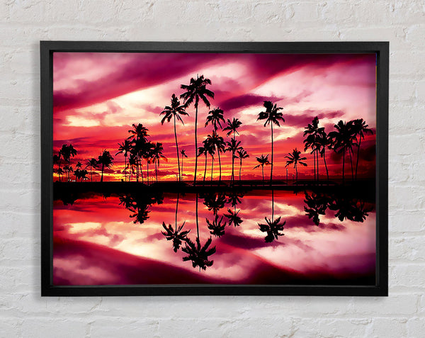 Pink Palm Tree Reflections