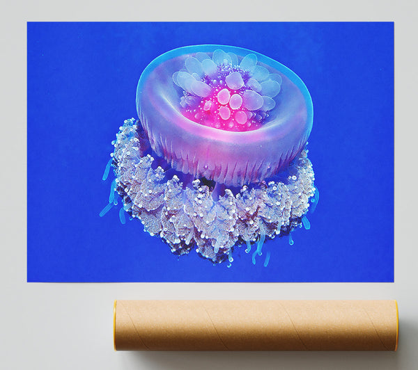 Neon Jellyfish