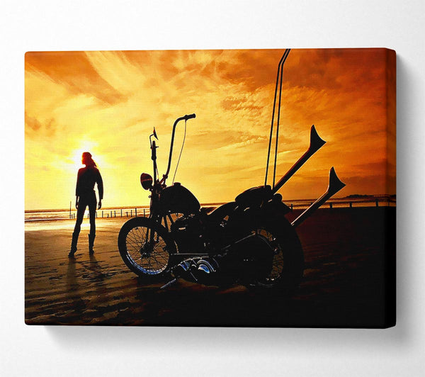 Harley Davidson Sunset