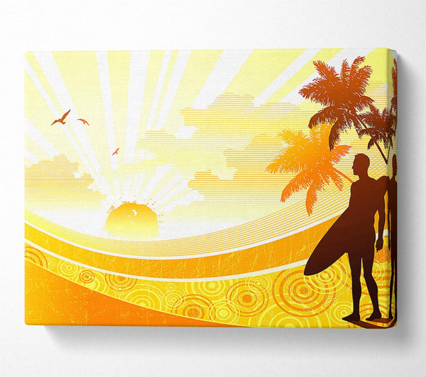 Sunshine Surfer