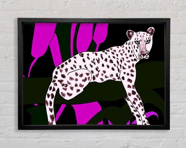 Pink Leopard Spots