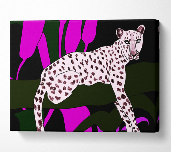 Pink Leopard Spots