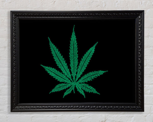 Ganja Leaf