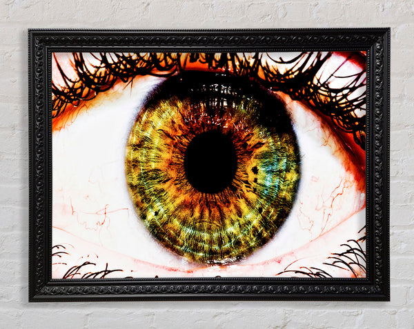 Big Eye