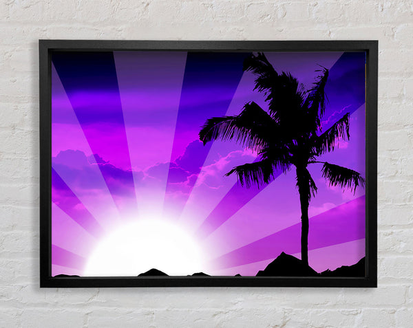 Purple Palmtree Sunrays