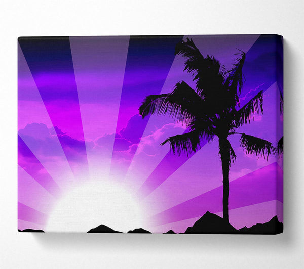 Purple Palmtree Sunrays