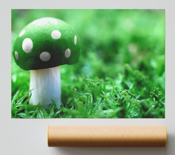 Green Mushroom