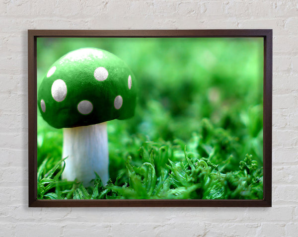 Green Mushroom