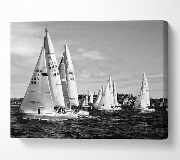 Sailboat Dream B n W