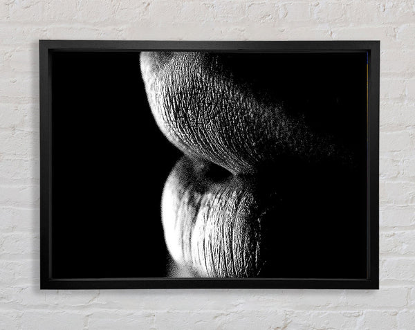 Sensual Lips B n W