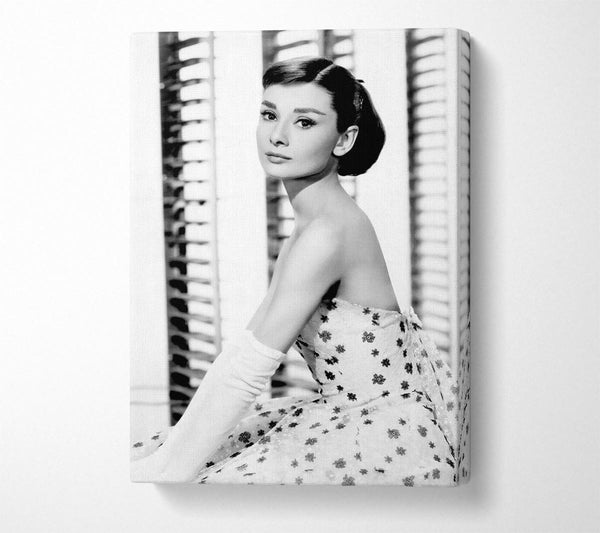 Audrey Hepburn Style