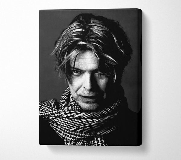 David Bowie B n W