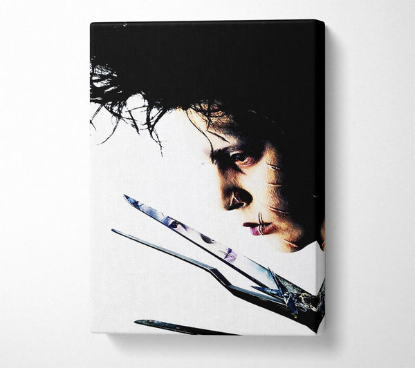 Edward Scissorhands Johnny Depp