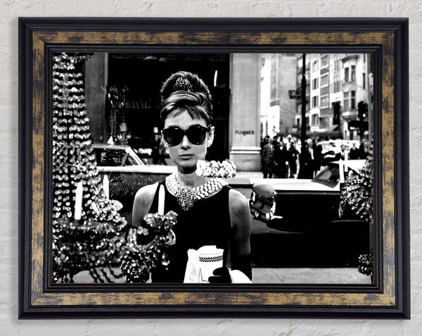 Audrey Hepburn Sunglasses