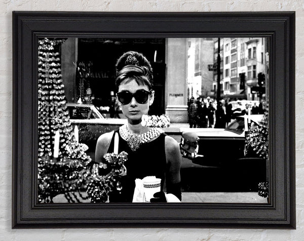 Audrey Hepburn Sunglasses