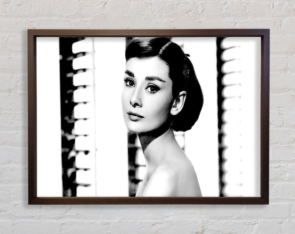 Audrey Hepburn