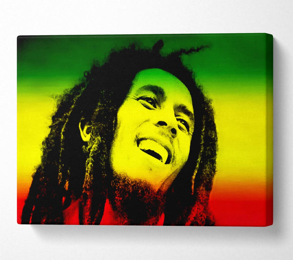 Bob Marley Rasta Colours