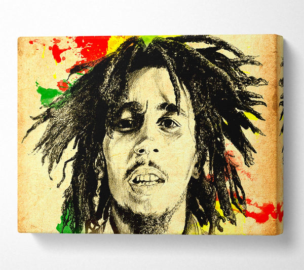 Bob Marley Splash Colour