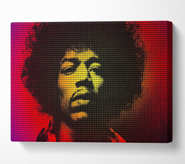 Jimi Hendrix Face