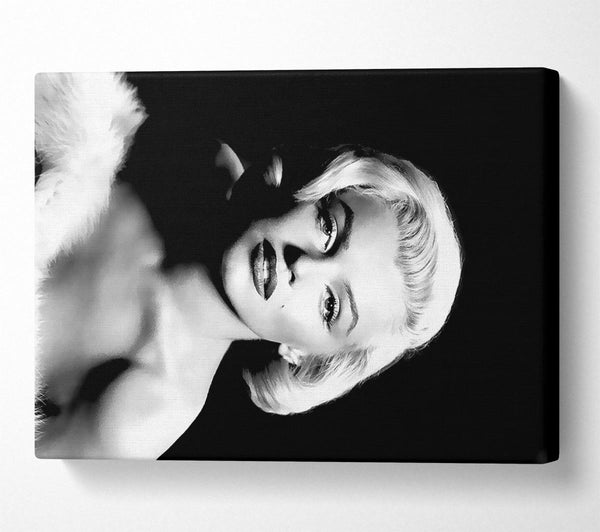 Marilyn Monroe Classic B n W