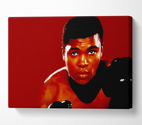 Muhammad Ali Red