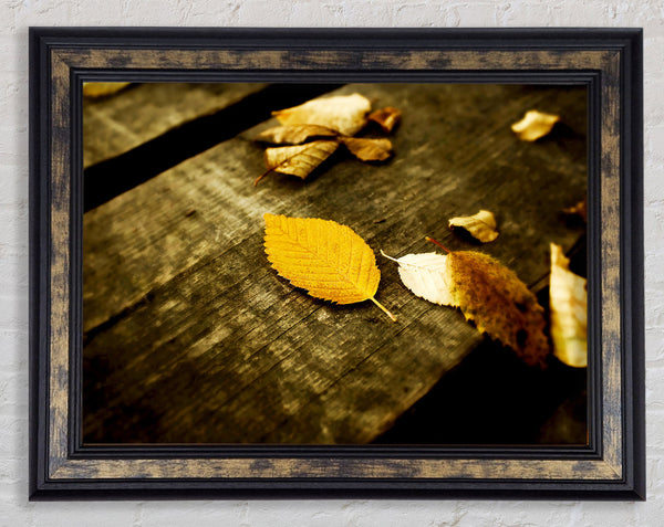 Autumn Leaves On The Deck