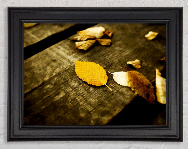 Autumn Leaves On The Deck