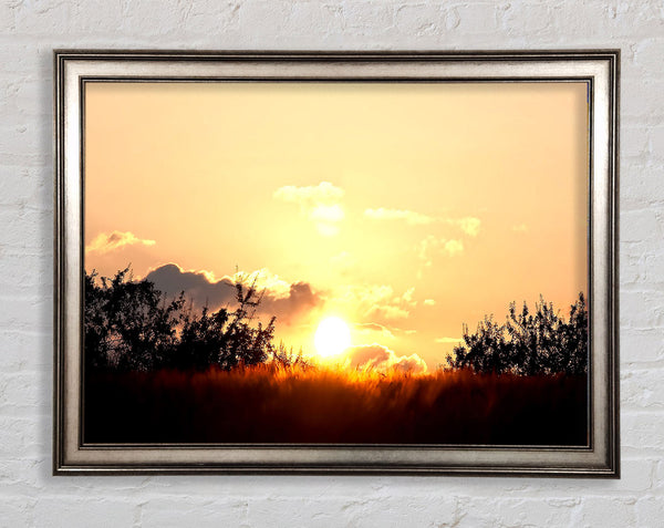 Golden Wheat Field At Sunset