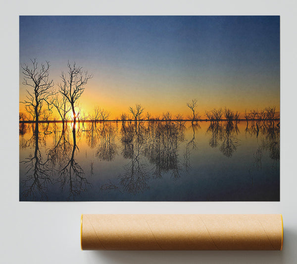 Beautiful Reflections Of The Winter Trees