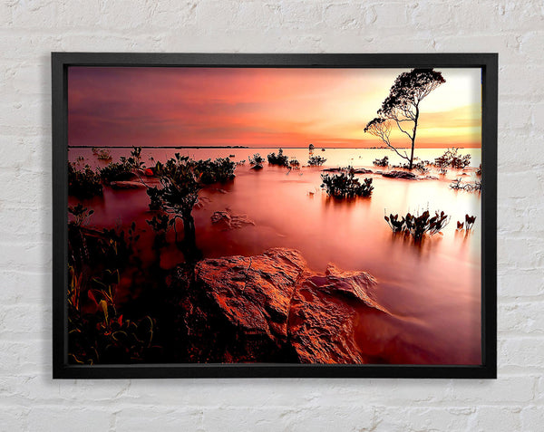 Tranquil Pink Ocean Trees