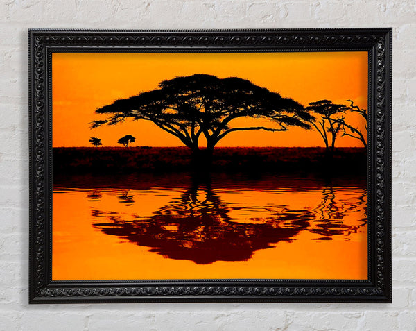 African Tree Reflection