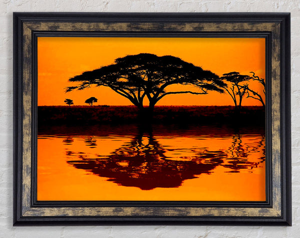 African Tree Reflection