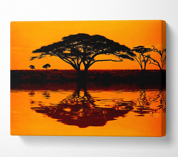 African Tree Reflection