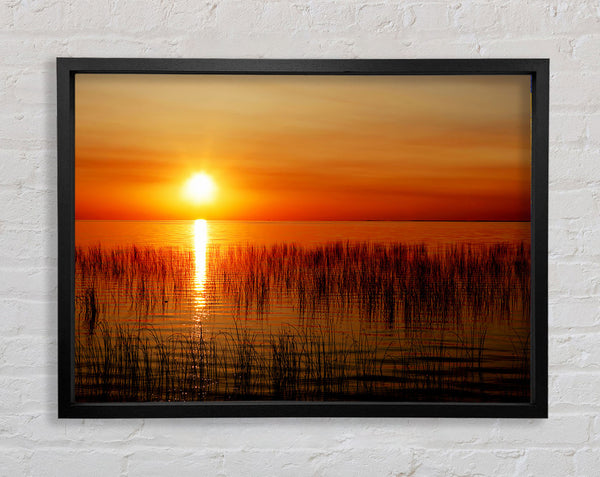 Sunset Over The Oceans Reeds