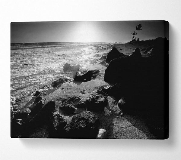 Sun Blaze Ocean B n W