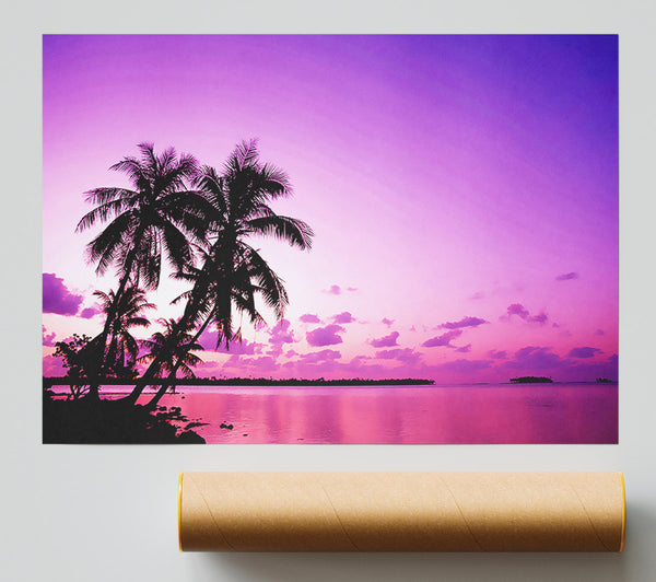 Pink Palm Tree Ocean